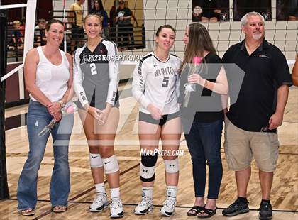 Thumbnail 1 in Basha @ Hamilton photogallery.