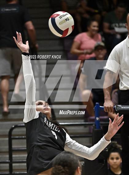 Thumbnail 2 in Basha @ Hamilton photogallery.