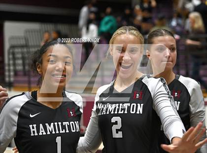 Thumbnail 3 in Basha @ Hamilton photogallery.