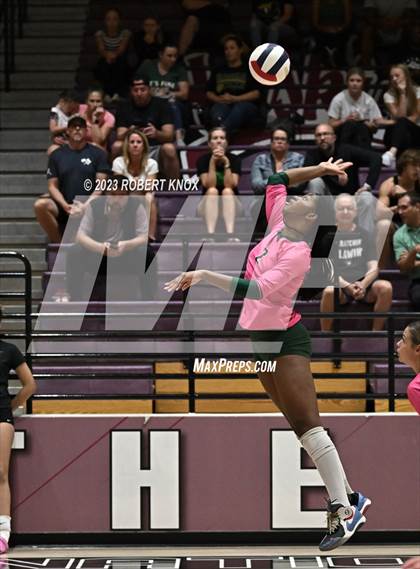 Thumbnail 2 in Basha @ Hamilton photogallery.