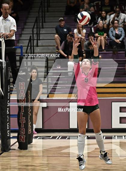Thumbnail 1 in Basha @ Hamilton photogallery.