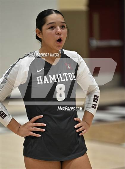 Thumbnail 1 in Basha @ Hamilton photogallery.