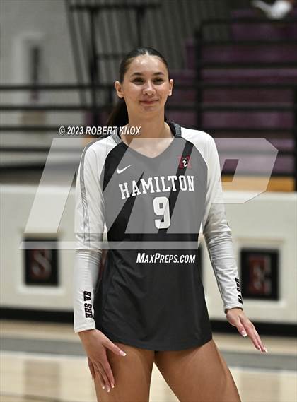 Thumbnail 1 in Basha @ Hamilton photogallery.