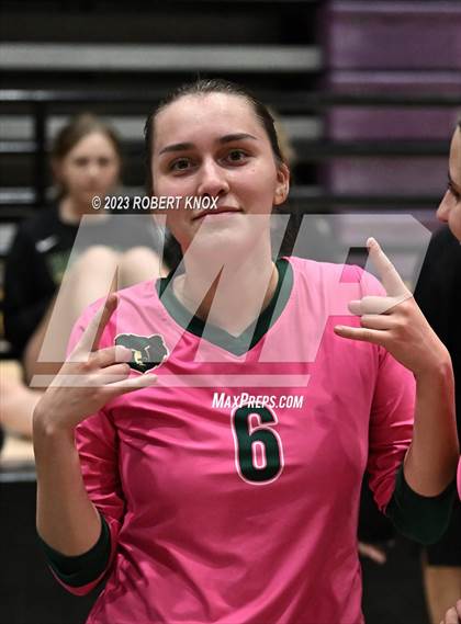Thumbnail 1 in Basha @ Hamilton photogallery.