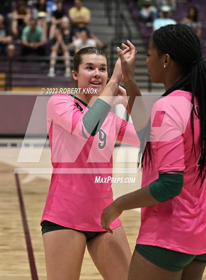Thumbnail 2 in Basha @ Hamilton photogallery.