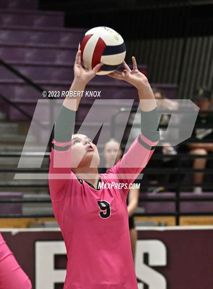 Thumbnail 3 in Basha @ Hamilton photogallery.