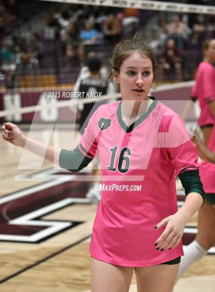 Thumbnail 1 in Basha @ Hamilton photogallery.