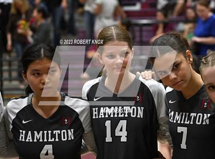 Thumbnail 3 in Basha @ Hamilton photogallery.
