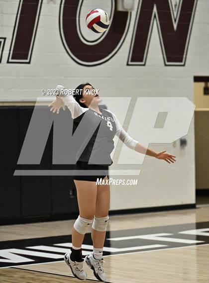 Thumbnail 1 in Basha @ Hamilton photogallery.
