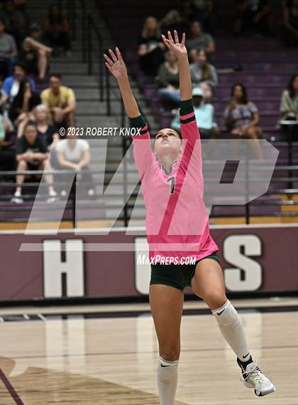 Thumbnail 1 in Basha @ Hamilton photogallery.