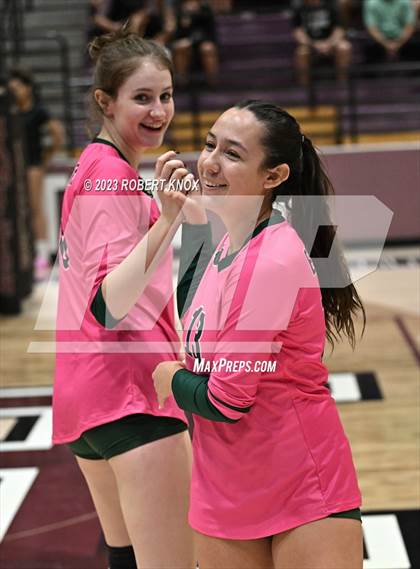 Thumbnail 3 in Basha @ Hamilton photogallery.