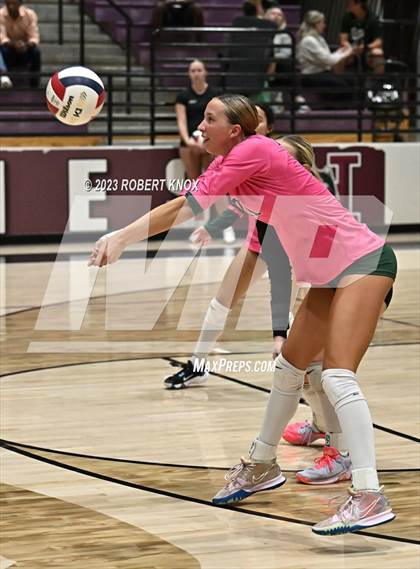 Thumbnail 1 in Basha @ Hamilton photogallery.