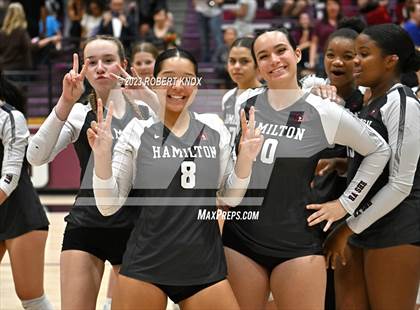 Thumbnail 1 in Basha @ Hamilton photogallery.