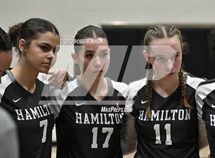 Thumbnail 2 in Basha @ Hamilton photogallery.