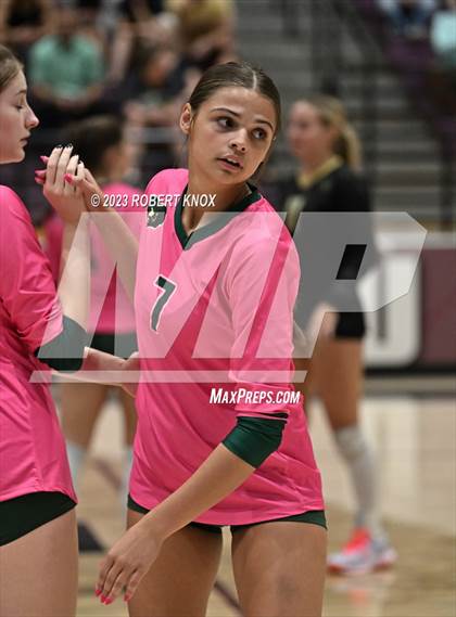 Thumbnail 2 in Basha @ Hamilton photogallery.