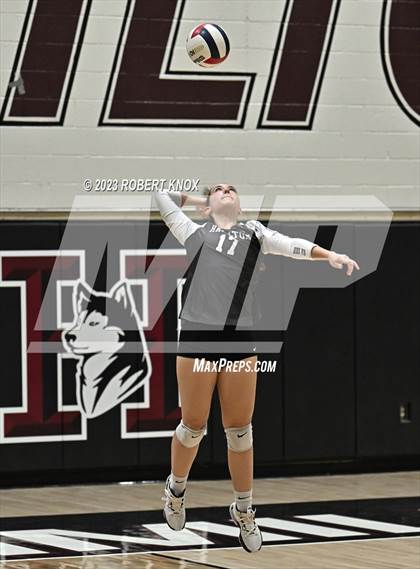 Thumbnail 1 in Basha @ Hamilton photogallery.