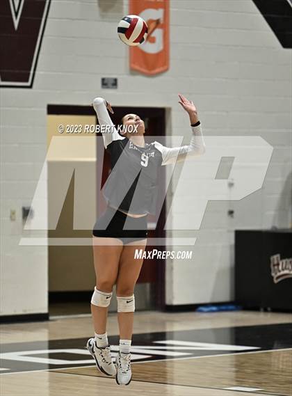 Thumbnail 3 in Basha @ Hamilton photogallery.