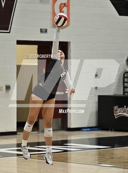 Thumbnail 1 in Basha @ Hamilton photogallery.