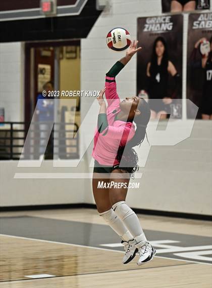 Thumbnail 2 in Basha @ Hamilton photogallery.
