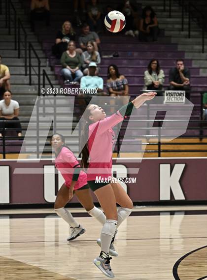 Thumbnail 3 in Basha @ Hamilton photogallery.