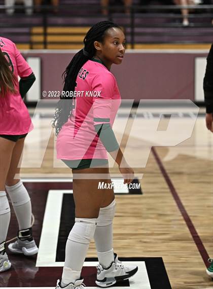 Thumbnail 1 in Basha @ Hamilton photogallery.
