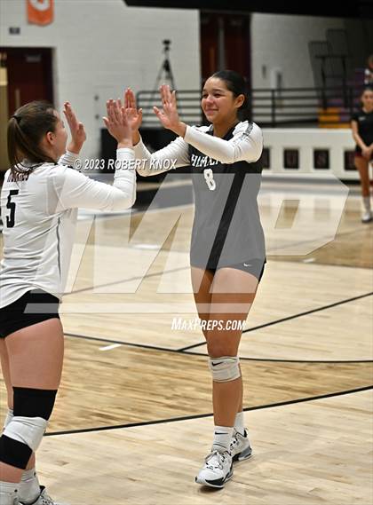 Thumbnail 2 in Basha @ Hamilton photogallery.