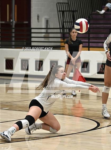 Thumbnail 1 in Basha @ Hamilton photogallery.