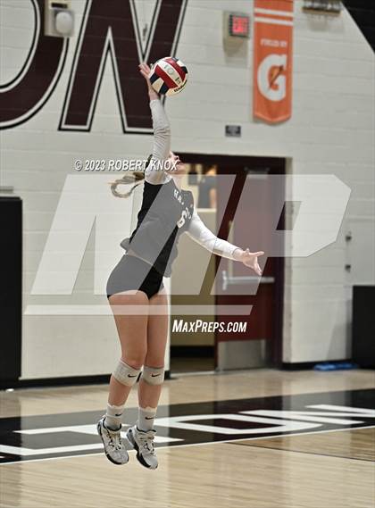 Thumbnail 3 in Basha @ Hamilton photogallery.
