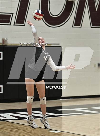 Thumbnail 2 in Basha @ Hamilton photogallery.