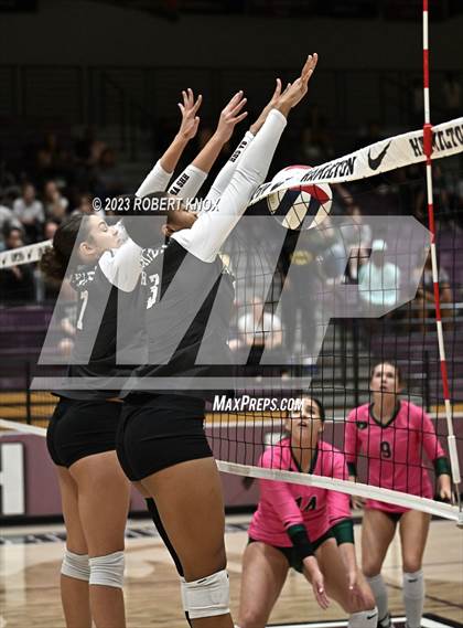Thumbnail 3 in Basha @ Hamilton photogallery.