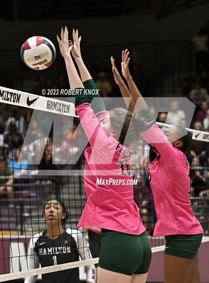 Thumbnail 2 in Basha @ Hamilton photogallery.