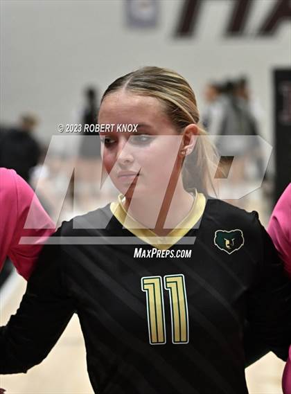 Thumbnail 2 in Basha @ Hamilton photogallery.