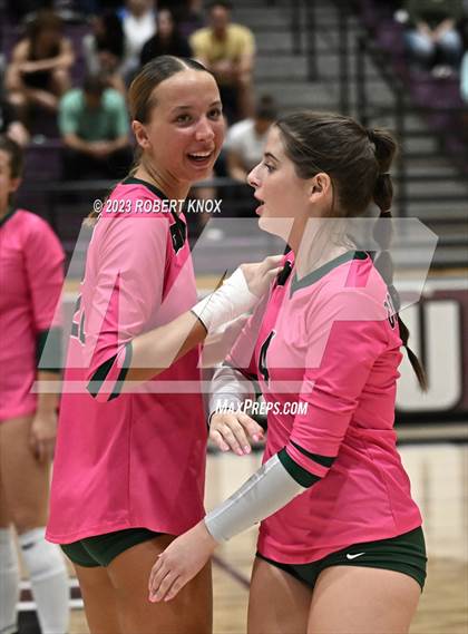 Thumbnail 1 in Basha @ Hamilton photogallery.