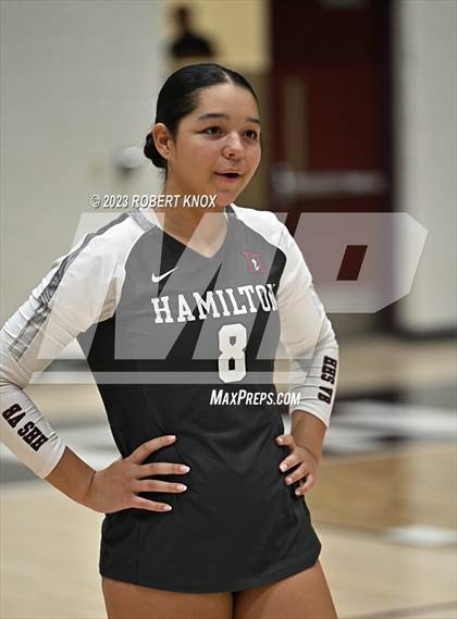 Thumbnail 2 in Basha @ Hamilton photogallery.
