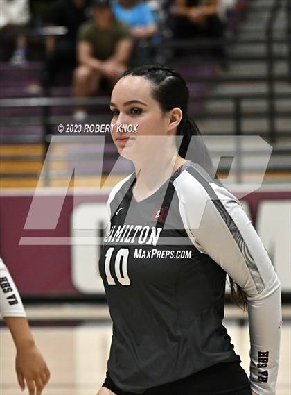 Thumbnail 3 in Basha @ Hamilton photogallery.