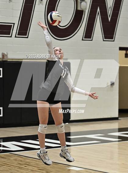 Thumbnail 2 in Basha @ Hamilton photogallery.