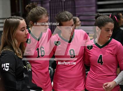 Thumbnail 2 in Basha @ Hamilton photogallery.
