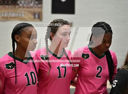 Thumbnail 3 in Basha @ Hamilton photogallery.