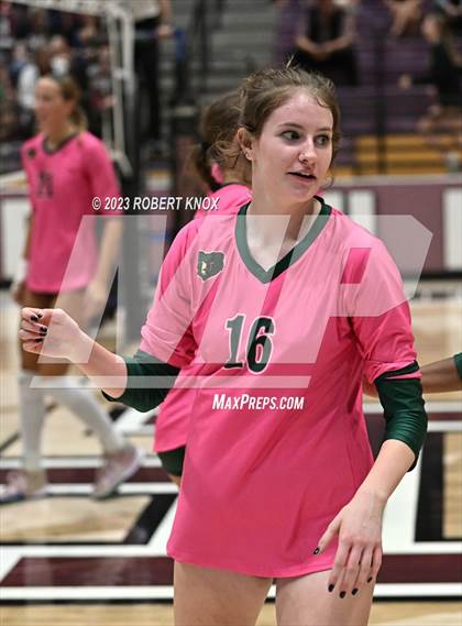 Thumbnail 2 in Basha @ Hamilton photogallery.