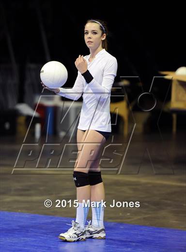 null - Photo 11