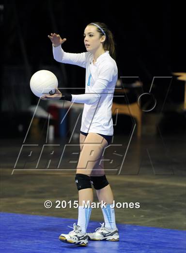 null - Photo 31