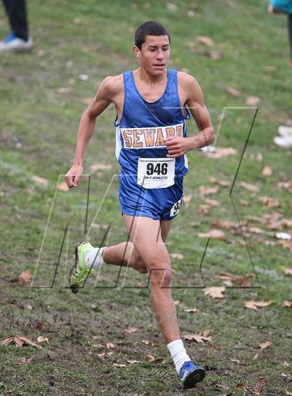 Thumbnail 1 in NYSPHSAA Cross Country Championships (Boys Class D) photogallery.