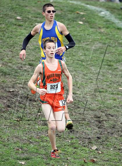 Thumbnail 1 in NYSPHSAA Cross Country Championships (Boys Class D) photogallery.