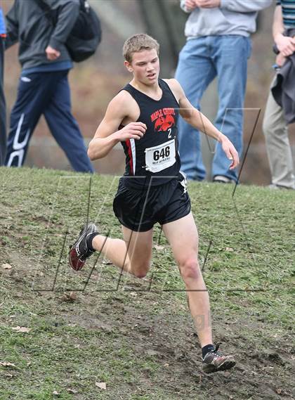 Thumbnail 1 in NYSPHSAA Cross Country Championships (Boys Class D) photogallery.