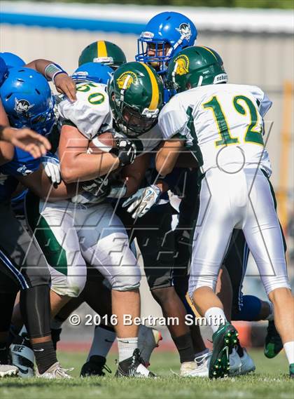Thumbnail 3 in Williamsville North @ Kenmore West photogallery.