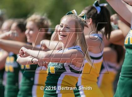 Thumbnail 1 in Williamsville North @ Kenmore West photogallery.