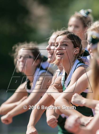 Thumbnail 1 in Williamsville North @ Kenmore West photogallery.