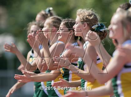 Thumbnail 2 in Williamsville North @ Kenmore West photogallery.