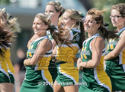Thumbnail 1 in Williamsville North @ Kenmore West photogallery.