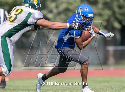 Thumbnail 3 in Williamsville North @ Kenmore West photogallery.